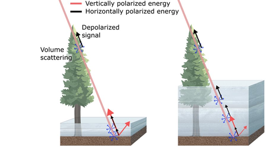 Snow volume scattering schematic